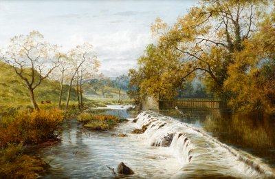 一个Mill Pond的溢流堰，1880年 作者 英语学校